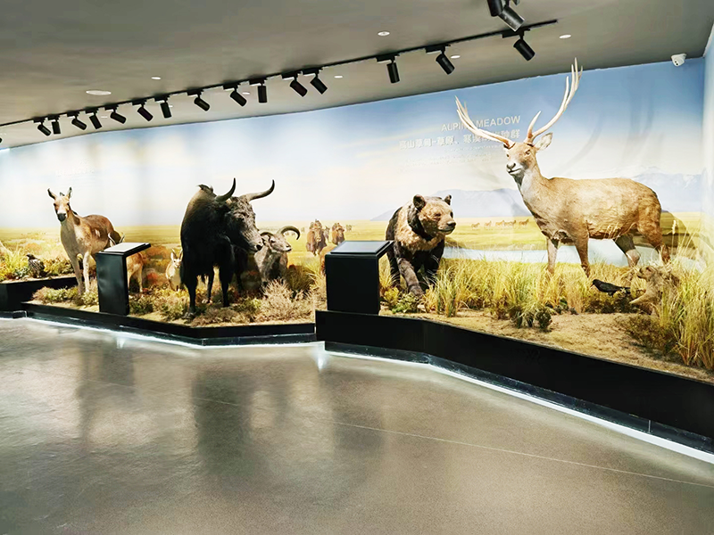 祁连山公园自然教育与生态体验馆