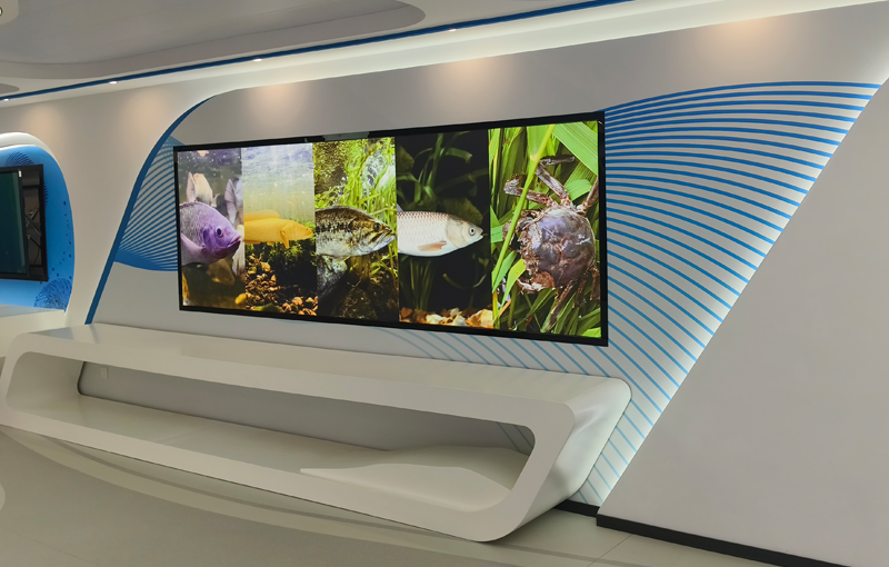 淡水渔业种质资源库山东分库标本馆